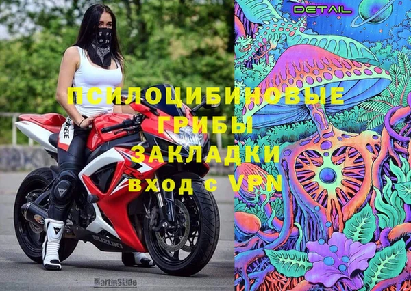 тгк Сосновка