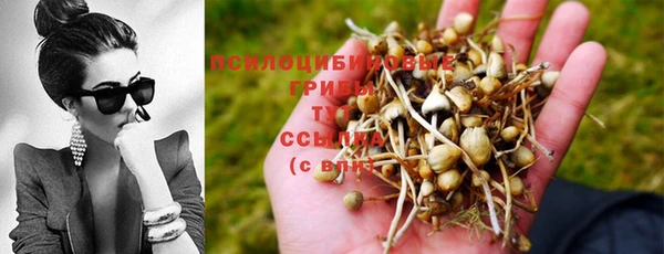 jwh Алзамай